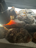 Madagascar Raw Amber One Pound Bag #1
