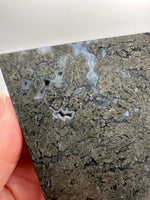 Free Form Pyrite Flowers Symbiosis Mixed Agate Slab #1