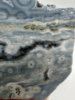 8th Vein Ocean Jasper Slab #61