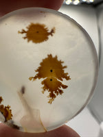Scenic Dendritic Agate Cabochon #7