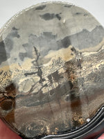 Natural Picture Jasper Slab with Stand #1