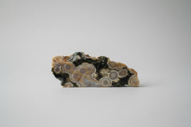 6th Vein Ocean Jasper Polished Freeform #2