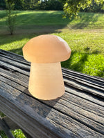 Peach Selenite Mushroom #9