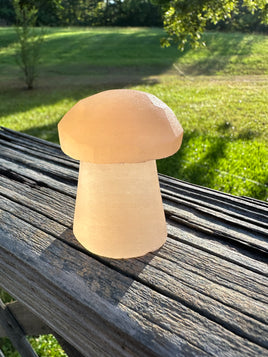 Peach Selenite Mushroom #9
