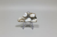 6th Vein Ocean Jasper Polished Freeform #35