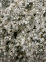 8th Vein Ocean Jasper Slab #18
