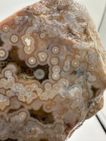 8th Vein Ocean Jasper Slab #65
