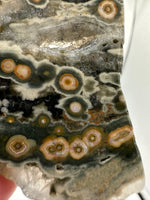 8th Vein Ocean Jasper Slab #38