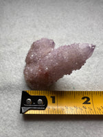 Amethyst Spirit Cactus Cluster, South Africa #3