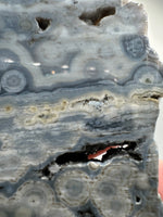 8th Vein Ocean Jasper Slab #5