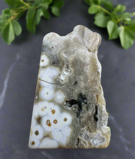 8th Vein Ocean Jasper Polished Free Form #23