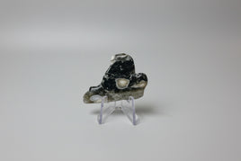 6th Vein Ocean Jasper Polished Freeform #28