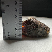 Madagascar Raw Amber Specimen #13