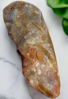 Savannah River Agate Specimen 1i