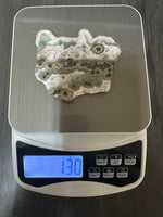 One of a Kind Naturally Bunny-Shaped 8th Vein Ocean Jasper Slab #2 – Rare Orbicular Collector Specimen – Madagascar