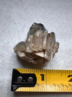 Natural Citrine Cathedral Crystal Kundalini Lightbrary, Congo #8