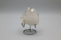 Quartz Crystal Mount Ida, Montgomery Co. AR #2