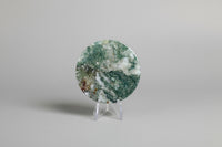 Moss Agate Polished Round Slice #10