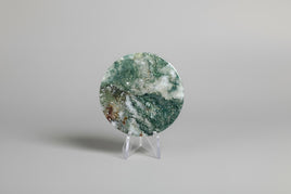 Moss Agate Polished Round Slice #10