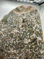 8th Vein Ocean Jasper Slab #8