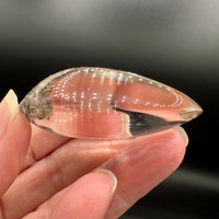 Beautiful Seahorse Garden Quartz Inner Scene Carving #3
