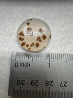 Scenic Dendritic Agate Cabochon #5