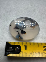 Designer Dendritic Agate Cabochon #11