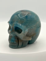 Unique Trolleite Skull #4