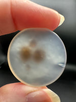 Scenic Dendritic Agate Cabochon #4