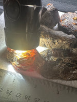 Madagascar Raw Amber One Pound Bag #1