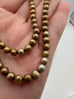 Golden Freshwater Pearl Strand #15