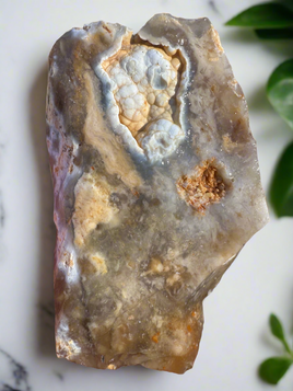 Savannah River Agate Specimen 1f