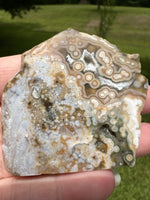 8th Vein Ocean Jasper Slab #68