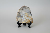 8th Vein Ocean Jasper Slab #69