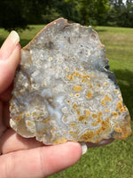 8th Vein Ocean Jasper Slab #69