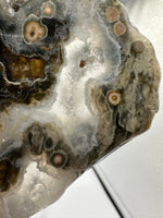 8th Vein Ocean Jasper Slab #38