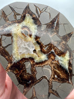 Septarian Nodule, Calcite, Muddy Creek, Orderville, Kane Co. UT UV Reactive #1