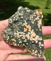 8th Vein Ocean Jasper Slab #50