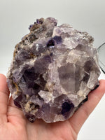 Dark Purple Fluorite Specimen – Melchor Muzquiz, Coahuila, Mexico