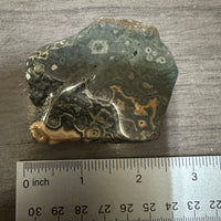 8th Vein Ocean Jasper Slab #32