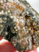 8th Vein Ocean Jasper Slab #13