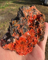 Crocoite, Red Lead Mine, Dundas, Tasmania, Australia