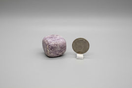 Lepidolite Square Tumble