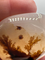 Designer Dendritic Agate Cabochon #6