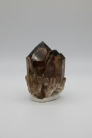 Natural Citrine Cathedral Crystal Kundalini Lightbrary, Congo #8