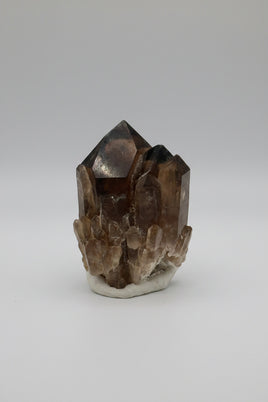 Natural Citrine Cathedral Crystal Kundalini Lightbrary, Congo #8