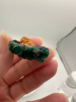Green Dioptase from Reneville, DR Congo Specimen #1