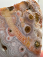 8th Vein Ocean Jasper Slab #48
