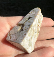 8th Vein Ocean Jasper Polished Free Form #9