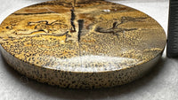 Natural Picture Jasper Slab with Stand #11